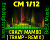 Mambo ( Tramp - Remix )