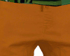 Orange Long Shorts