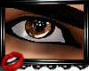 .:FR Honey Brow |M