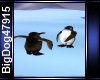 [BD] Playing Penguins