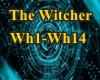 The Witcher- Wild Hunt
