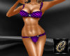MG Sexy Purple Bikini
