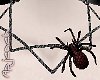 [apj] NL Spider red