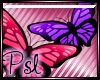 PSL Butterfly 1 Enhancer