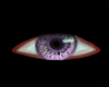 TK - Purple Eyes