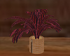 Red potted plant