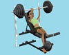 CK Weights Bench