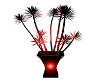 red  romance  plant