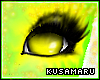 [KA] Kusamaru's Eyes