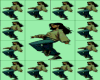20 p, group dance