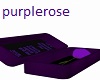 purplerose in a box