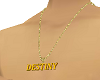 Destiny necklace