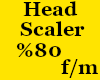 KC-Heand Scaler %80