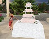 PP|Pink Wedding Cake