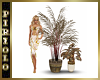 Paired Decorator Plants