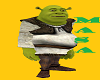 MR*Shrek Avatar