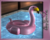 A$.Flamingo