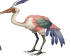 ** BB Flamingo w/s Tri
