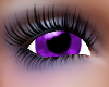 (LMG)Purple Eyes