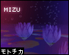 ㋲ MIZU | Lotus