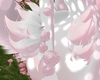 Rose' Arm Roses