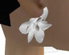 Earrings Magnolias