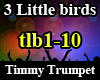 3 little birds Remix