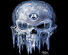 Male Iced Skull