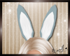 BunnyGirl Ears Blue