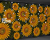 Sunflowers / Photoroom