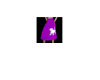 purple poodle skirt