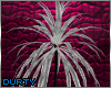 PinkNote Plant *Req*