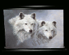 ! Wolf Pic 2.