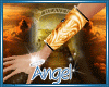 [AA]Angel's Legend Set 