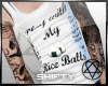 Rice Balls