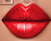 Zell Lips Gloss
