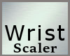 Wrist Scale MA