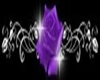 purple and black rose