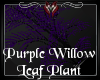 -A- Purple Willow Leaf