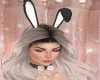 ♥Full Bunny
