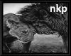 NKP-Lion Wall Art 2