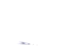 Ferrari Pura White