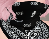 Black Bandanna