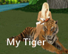 My Tiger