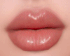 Soft Lipsticks