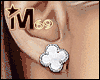 Silver White Earrings