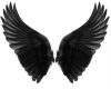 Black Wings Animated