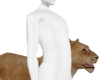 Matth Lioness
