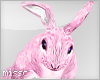 $ Pink Rabbit