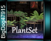 [BD]PlantSet